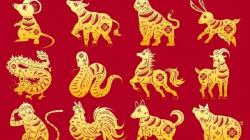 Legenda 12 Shio dalam Kalender China, Kenapa Tikus Nomor Satu Sedangkan Kucing Tidak Ada?