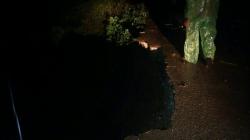 Dampak Banjir Solok Selatan, BPBD: Jembatan Putus, Longsor dan Tebing Runtuh