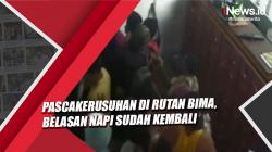 Pascakerusuhan di Rutan Bima, Belasan Napi Telah Kembali