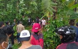 Pria di Bogor Tewas Tertimpa Pohon saat Menebang<