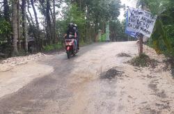 Protes Jalan Rusak Warga Bantul Tanam Pohon Pisang
