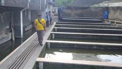 Dituding Gunakan Bangkai Ayam, Pemilik Peternakan Lele di Garut Tak Terima