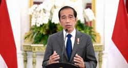 Jokowi Umumkan Calon Kepala Otorita IKN Maret 2022