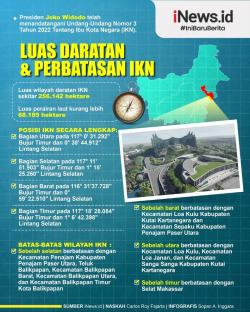Dibangun 20 Km dari Istana Negara, Bandara di IKN Khusus Layani Penerbangan Ini