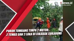 Pohon Tumbang Timpa 2 Motor di Cikakak Sukabumi, 2 Orang Tewas