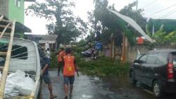 Diterpa Angin Kencang, Pohon Tumbang Timpa Gapura Ponpes Al Hikam Cianjur 