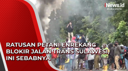Video Ratusan Petani Enrekang Blokir Jalan Trans Sulawesi, Ini Sebabnya