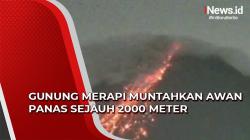 Video Gunung Merapi Muntahkan Awan Panas Sejauh 2000 Meter