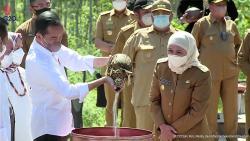 Gubernur Khofifah Tanam Pohon Mangga Lalijiwo Khas Jatim di IKN Nusantara