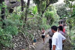 Tersengat Listrik saat Tebang Pohon, Pria Asal Semanu Dilarikan ke RS<