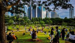 Pemprov DKI Kejar Target 30 Persen Ruang Terbuka Hijau di 2045