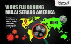 Infografis Waspada Virus Flu Burung Mulai Serang Amerika