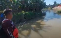 Tebingtinggi Geger, Pemancing Dapat Ikan Tapah Raksasa Berbobot 65 Kg di Sungai<