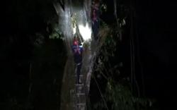 Penebang Kayu Tewas Tersangkut Pohon Setinggi 20 Meter, Evakuasi Berlangsung Dramatis