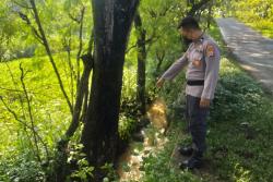 Tragis, Pelajar di Gunungkidul Tewas Tabrak Pohon usai Antar Ayah ke Pasar