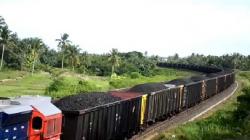 KAI hingga Bukit Asam Kembangkan Kereta Angkutan Batu Bara di Sumsel