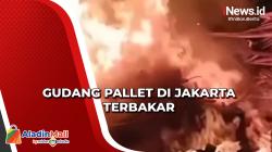 Gudang Pallet di Jakarta Terbakar