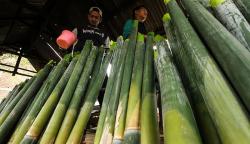 10 Makanan Khas Mandailing Natal, Nomor 5 Pencinta Sambal Wajib Coba<