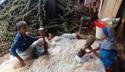 Melihat Pembuatan Kolang-Kaling di Kampung Kokolaka Jatirejo saat Ramadan