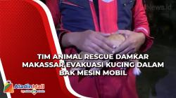 Video Tim Animal Rescue Damkar Makassar Evakuasi Kucing dalam Bak Mesin Mobil