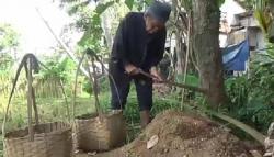 Kisah Miris Kakek Pencari Pasir di Sukabumi, Hidup Andalkan Rp5.000 per Keranjang 