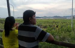 Ngabuburit di Pantai Glagah, Saksikan Pesawat Landing dan Take Off di Bandara YIA<