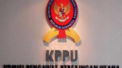 Jadi Ketua KPPU, Ini Profil Afif Hasbullah