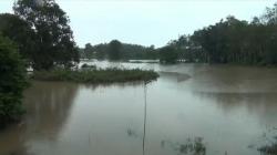 Puluhan Buaya Lepas saat Banjir dari Penangkaran di Banyuasin, BKSDA Imbau Masyarakat Tenang<