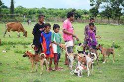 Pengendalian Rabies Jadi Pekerjaan Rumah Jelang MXGP