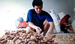 Kesulitan Bahan Baku, Perajin Kacang Oven di Boyolali Kewalahan Layani Permintaan