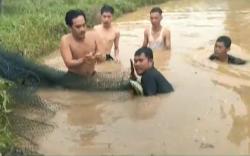 Warga 3 Desa Buru Puluhan Buaya Muara yang Lepas dari Penangkaran di Banyuasin 