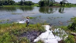 Diduga Tercemar Limbah, Sungai Citarum Padalarang KBB Berbusa Putih dan Bau Tak Sedap