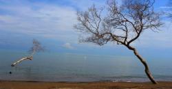 5 Destinasi Pantai Dekat Bandung, Nomor 3 Unik Air Lautnya Tiga Warna