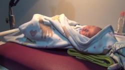 Buang Bayi di Kebun Pisang, ABG dan Pacarnya Ditangkap Polisi di Subang<