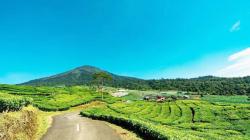 Rekomendasi Wisata Alam di Sumatera Selatan yang Patut Dikunjungi