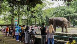 Suasana Libur Lebaran di Taman Margasatwa Ragunan