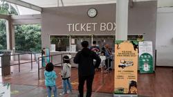 Ribuan Wisatawan Padati Objek Wisata Kebun Binatang Bandung