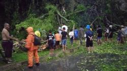 Hujan Deras Disertai Angin Kencang Landa KBB, Pohon Tumbang Timpa Rumah Warga<