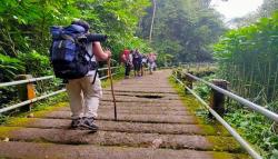 Ditutup Selama 4 Pekan, Jalur Pendakian Gunung Gede Pangrango Kembali Dibuka