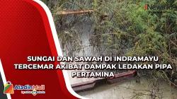 Sungai & Sawah di Indramayu Tercemar Akibat Ledakan Pipa Pertamina