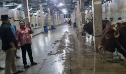 Jaga Stok Daging, Komisi B DPRD Jatim Minta Penanganan PMK Komprehensif 