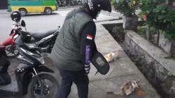 Kisah Wanita Driver Ojol Penolong Kucing Liar Telantar di Jalanan Bandung<