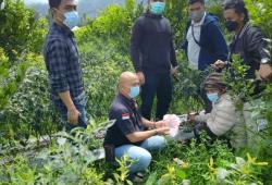 Kocak, Maling Ini Kubur Uang Jutaan Rupiah Hasil Curian di Kebun Cabai