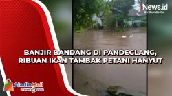 Banjir Bandang, Ribuan Ikan di Tambak Petani Pandeglang Hanyut