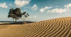 Terungkap Ini 5 Tempat Terindah dengan Pemandangan Pasir Instagramable di Indonesia