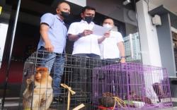 Ini Penampakan Bekantan dan Kucing Hutan yang Disita Polda Kalsel<