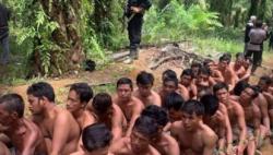 40 Petani Ditahan Gegara Tuduhan Pencurian Sawit, Kades Desak Penahanan Ditangguhkan