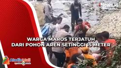 Warga Maros Terjatuh dari Pohon Aren Setinggi 15 Meter