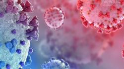 Ramai Virus Hendra di Indonesia, Epidemiolog: Lebih Mematikan Dibanding Covid-19