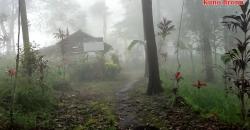 Awalnya Dikira Warung, Ternyata Ada Makam Kuno yang Diduga sebagai Orang Sakti Tertutup Kabut
